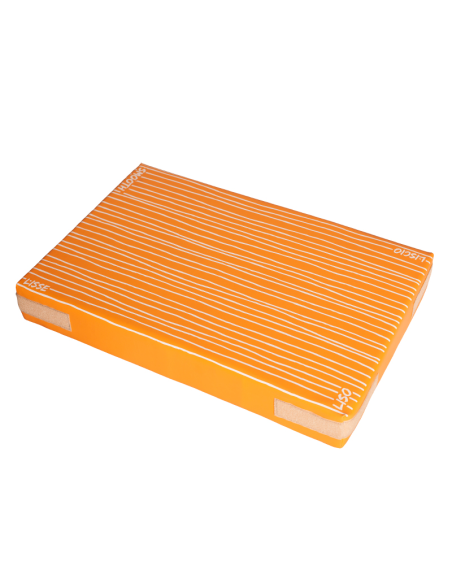 Conjunto de Psicomotricidad Sensorial 6 Piezas - Desarrollo Completo