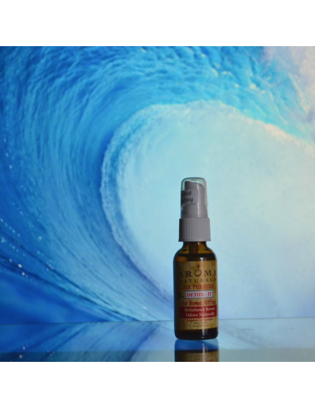 Detox-IT (AROMA) | Purificador de Aire Natural con Iones Negativos