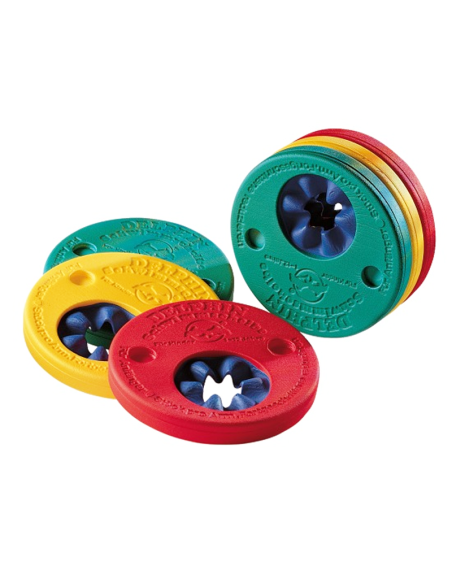 Manguitos de Natación Delphin Discs – Seguridad en el Agua