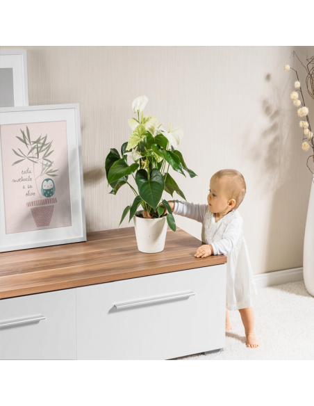 Protector Infantil de Macetas – Seguridad para Bebés y Mascotas