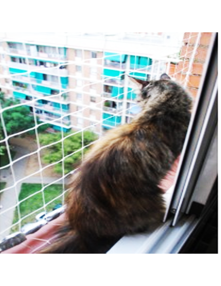 Red de Seguridad para Gatos | Protección en Balcones y Ventanas