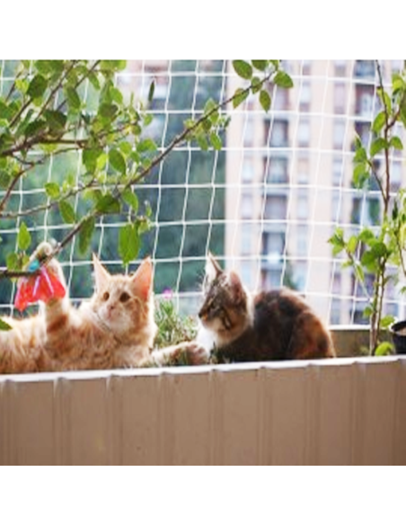 Red de Seguridad para Gatos | Protección en Balcones y Ventanas