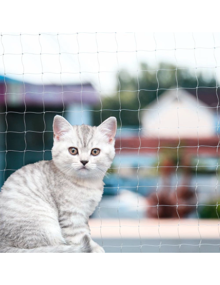 Red de Seguridad para Gatos | Protección en Balcones y Ventanas