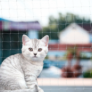 Redes para gatos